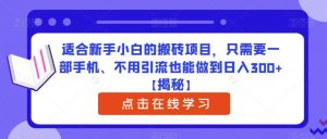 适合新手小白的搬砖项目，只需要一部手机、不用引流也能做到日入300+【揭秘】-网创资源吧