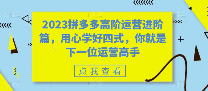 2023拼多多高阶运营进阶篇，用心学好四式，你就是下一位运营高手-网创资源吧