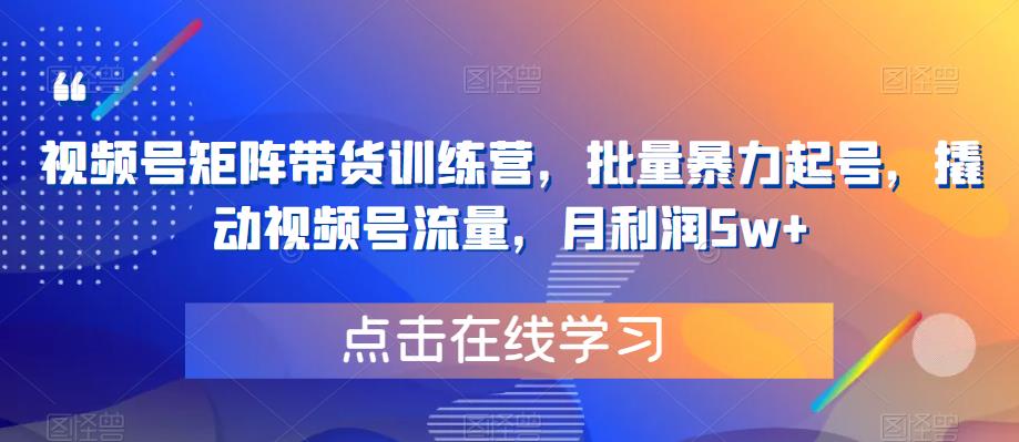 视频号矩阵带货训练营，批量暴力起号，撬动视频号流量，月利润5w+-网创资源吧