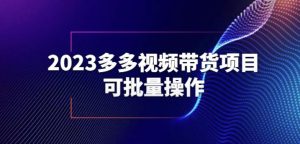 2023多多视频带货项目，可批量操作【保姆级教学】【揭秘】-网创资源吧