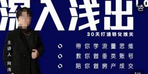 阿浅地产圈·深入浅出1.0，带你学流量思维，教你做垂直账号，陪你做房产成交-网创资源吧