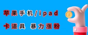 最新利用苹果手机/ipad的ios系统,卡道具搬短视频,百分百过原创-网创资源吧