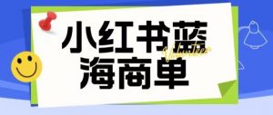 价值2980的小红书商单项目暴力起号玩法,一单收益200-300(可批量放大)-网创资源吧