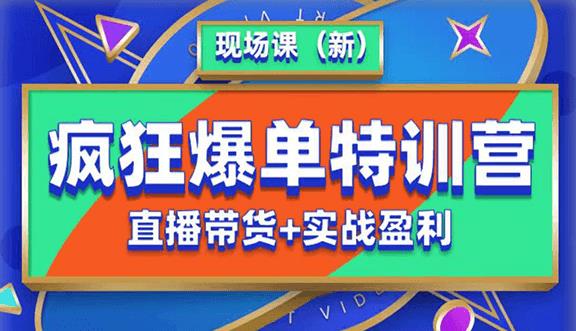 抖音短视频疯狂爆单特训营现场课（新）直播带货+实战案例-网创资源吧