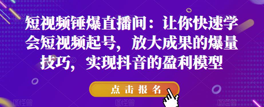 短视频锤爆直播间：让你快速学会短视频起号，放大成果的爆量技巧，实现抖音的盈利模型-网创资源吧