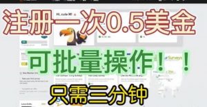 国外项目注册一次0.5美金,只需三分钟无脑操作,可批量同时放大操作,小白工作室福利【揭秘】-网创资源吧