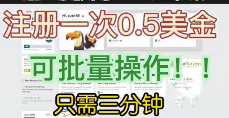 国外项目注册一次0.5美金，只需三分钟无脑操作，可批量同时放大操作，小白工作室福利【揭秘】-网创资源吧