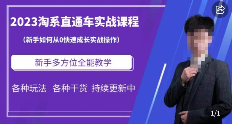 2023淘系直通车保姆式运营讲解，新手如何从0快速成长实战操作，新手多方位全能教学-网创资源吧