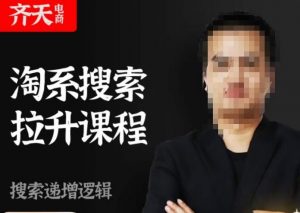 齐天电商·淘系搜索提升课程,搜索递增标准化,动销标准化流程-网创资源吧