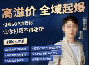 逸风-拼多多高溢价全域起爆，6大课程体系，付费玩法全套实操-网创资源吧
