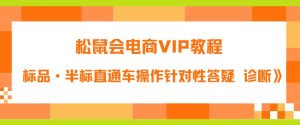 松鼠会电商VIP教程：松鼠《付费推广标品·半标直通车操作针对性答疑&诊断》-网创资源吧