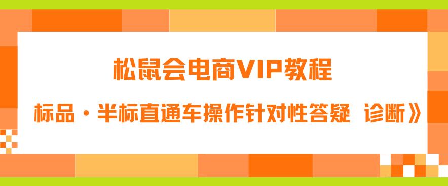 松鼠会电商VIP教程：松鼠《付费推广标品·半标直通车操作针对性答疑&诊断》-网创资源吧