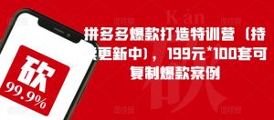 拼多多爆款打造特训营(持续更新中),199元*100套可复制爆款案例-网创资源吧