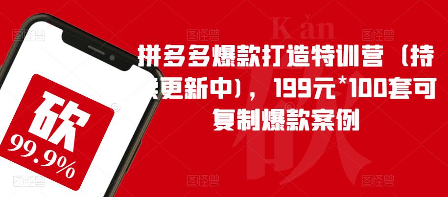 拼多多爆款打造特训营（持续更新中)，199元*100套可复制爆款案例-网创资源吧