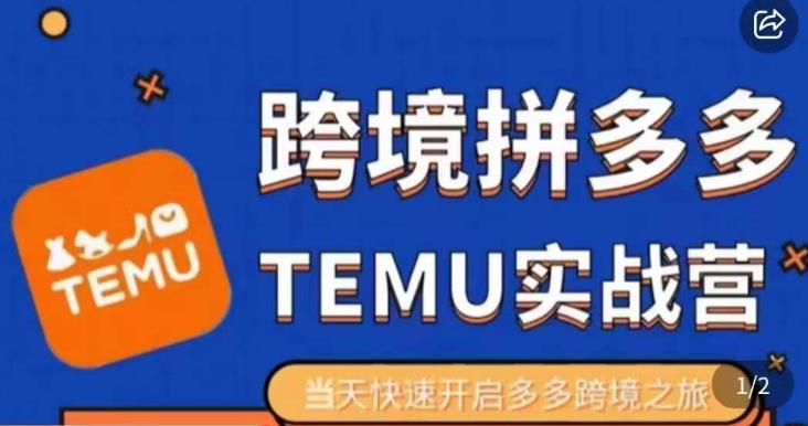 大鹏出海·拼多多跨境temu运营指导，开店注册+选品+核价上架，日出千单实战课-网创资源吧