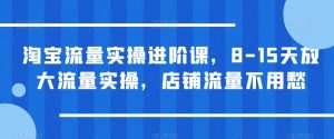 淘宝流量实操进阶课，8-15天放大流量实操，店铺流量不用愁-网创资源吧