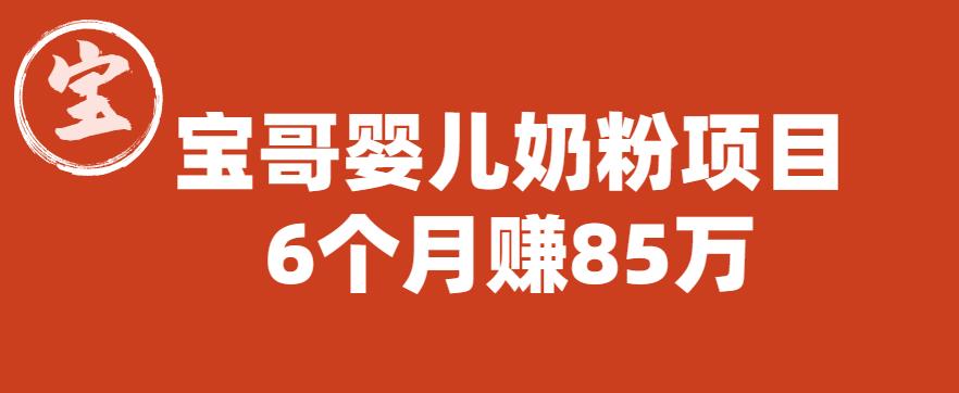 宝哥婴儿奶粉项目，6个月赚85w【图文非视频】【揭秘】-网创资源吧