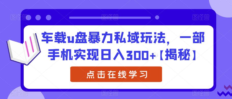 车载u盘暴力私域玩法，一部手机实现日入300+【揭秘】-网创资源吧