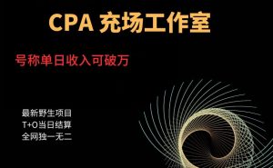 cpa充场工作室，号称单日收入10000+（揭秘）-网创资源吧