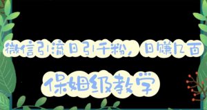 微信互推圈半自动引流方案,矩阵操作日引千人思路【详细视频教程】-网创资源吧