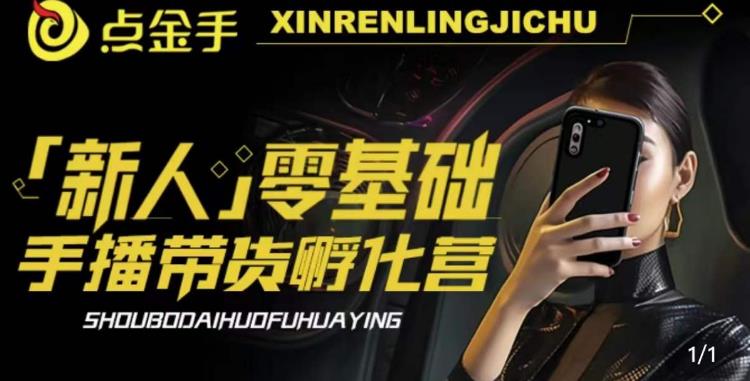 2023点金手·新人零基础手播带货孵化营：账号运营篇+主播话术篇+数据流量篇等-网创资源吧