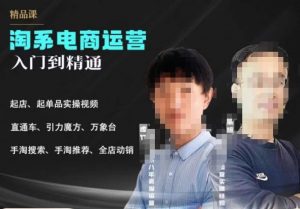2023手淘搜索实操课+体系化课程，​起店起单品实操视频课程-网创资源吧
