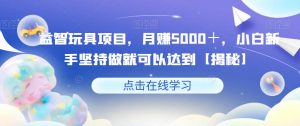 益智玩具项目,月赚5000+,小白新手坚持做就可以达到【揭秘】-网创资源吧