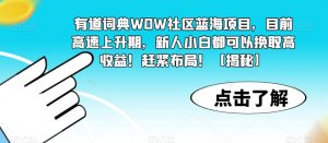 有道词典WOW社区蓝海项目，目前高速上升期，新人小白都可以换取高收益！赶紧布局！【揭秘】-网创资源吧