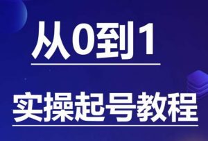 石野·小白起号实操教程,掌握各种起号的玩法技术,了解流量的核心-网创资源吧