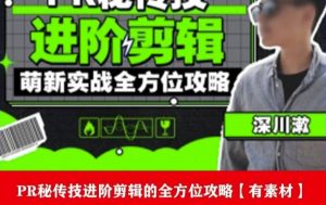 PR进阶剪辑培训班，让你快速成为剪辑大师12节视频课程+素材！-网创资源吧