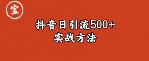 宝哥抖音直播引流私域的6个方法，日引流500+-网创资源吧