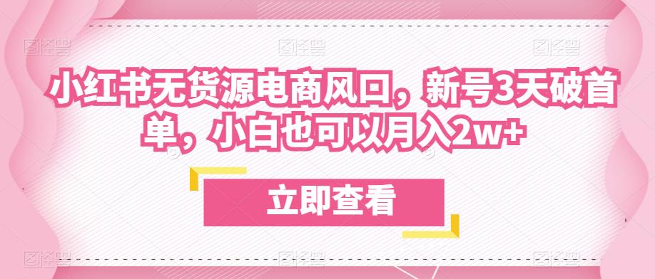 众狼电商余文小红书无货源电商风口，新号3天破首单，小白也可以月入2w+-网创资源吧