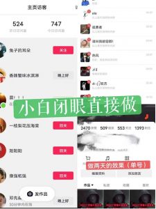 一天做完别一辈子的视频制作最近很火的《1000个野路子信息差》100%过原创【揭秘】-网创资源吧