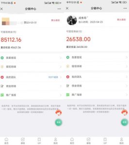 闲鱼流量掘金-虚拟变现新玩法配合全网项目库，精准引流变现3W+-网创资源吧