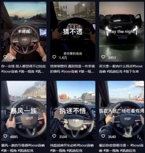 抖音开车视频项目，0基础操作，每天五分钟，月入1W+【揭秘】-网创资源吧