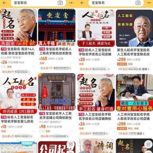 拆解小红书宝宝起名虚拟副业项目,一条龙实操玩法分享给你(教程+软件)-网创资源吧