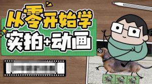 从零开始学实拍加动画,实拍加动画创意教程-网创资源吧