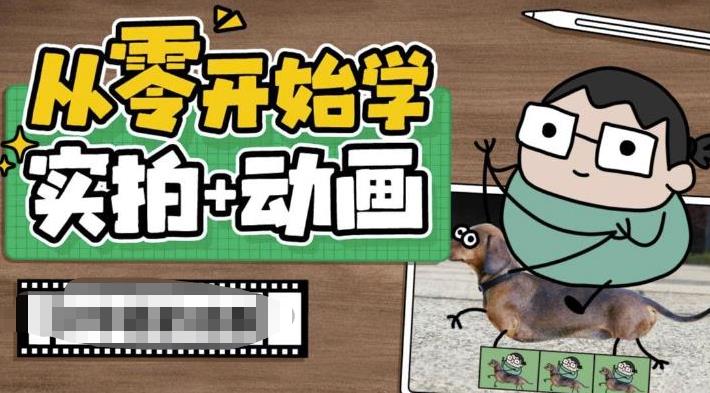 从零开始学实拍加动画，实拍加动画创意教程-网创资源吧