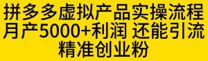拼多多虚拟产品实操流程，月产5000+利润，还能引流精准创业粉【揭秘】-网创资源吧
