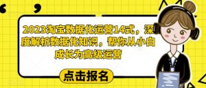 2023淘宝数据化运营14式,深度解析数据化知识,帮你从小白成长为高级运营-网创资源吧