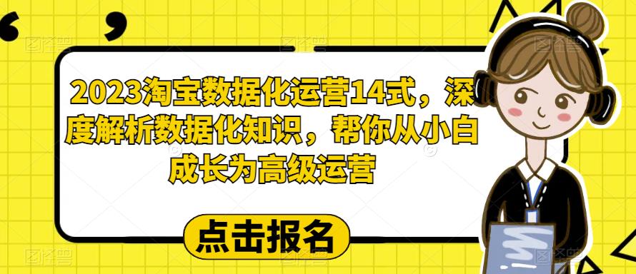 2023淘宝数据化运营14式，深度解析数据化知识，帮你从小白成长为高级运营-网创资源吧