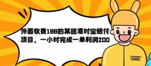外面收费188的美团准时宝赔付项目，一小时完成一单利润200【仅揭秘】-网创资源吧