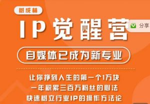 树成林·IP觉醒营，快速树立行业IP的操作方法论，让你赚到人生的第一个1万块-网创资源吧