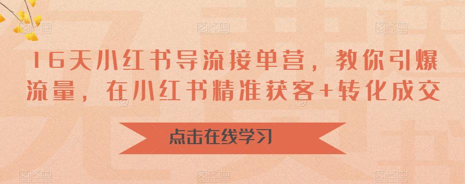 16天小红书导流接单营，教你引爆流量，在小红书精准获客+转化成交-网创资源吧