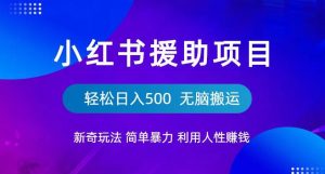 小红书援助项目新奇玩法，简单暴力，无脑搬运轻松日入500【揭秘】-网创资源吧