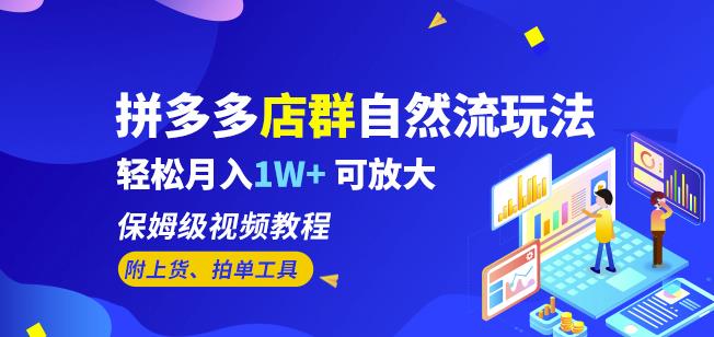 拼多多店群自然流玩法，轻松月入1W+保姆级视频教程（附上货、拍单工具）-网创资源吧