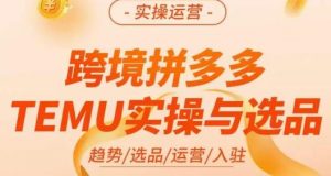 伍跃·跨境拼多多TEMU实操与选品,趋势/选品/运营/入住(27节完整)-网创资源吧