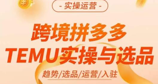 伍跃·跨境拼多多TEMU实操与选品，​趋势/选品/运营/入住（27节完整）-网创资源吧