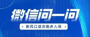 全网首发微信问一问新风口变现项目(价值1999元)【揭秘】-网创资源吧