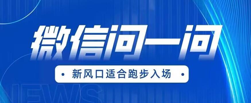 全网首发微信问一问新风口变现项目（价值1999元）【揭秘】-网创资源吧